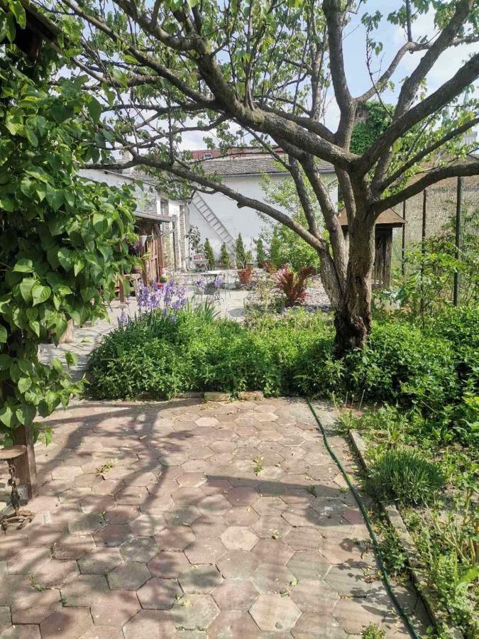 Somborski Salas - Strogi Centar Dış mekan fotoğraf