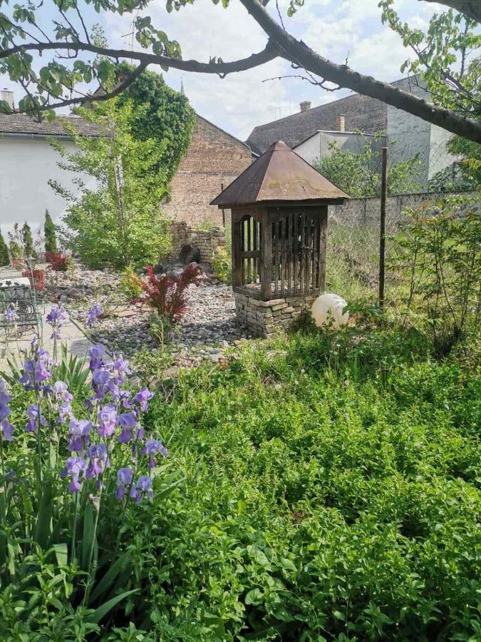 Somborski Salas - Strogi Centar Dış mekan fotoğraf
