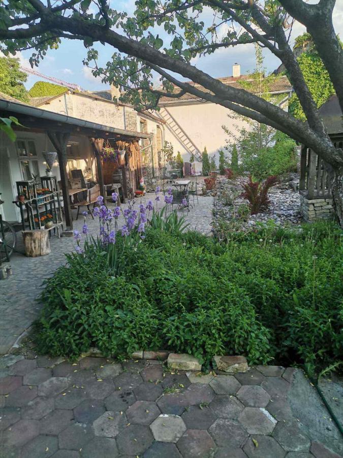 Somborski Salas - Strogi Centar Dış mekan fotoğraf